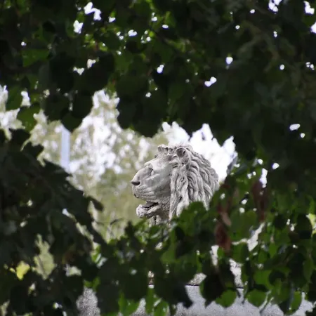 Апартаменты A Casa Di Maya *